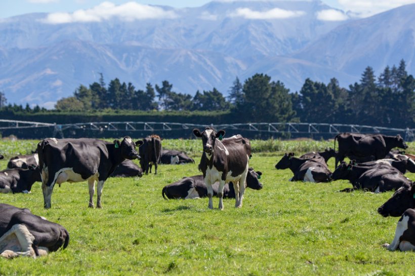 Farming groups fear the new deal will open the UK's doors to potentially significant extra volumes of imported food