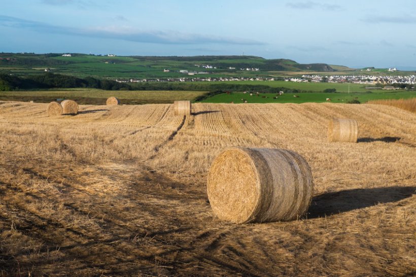 The Northern Ireland Assembly meets tomorrow to discuss two key pieces of climate change legislation