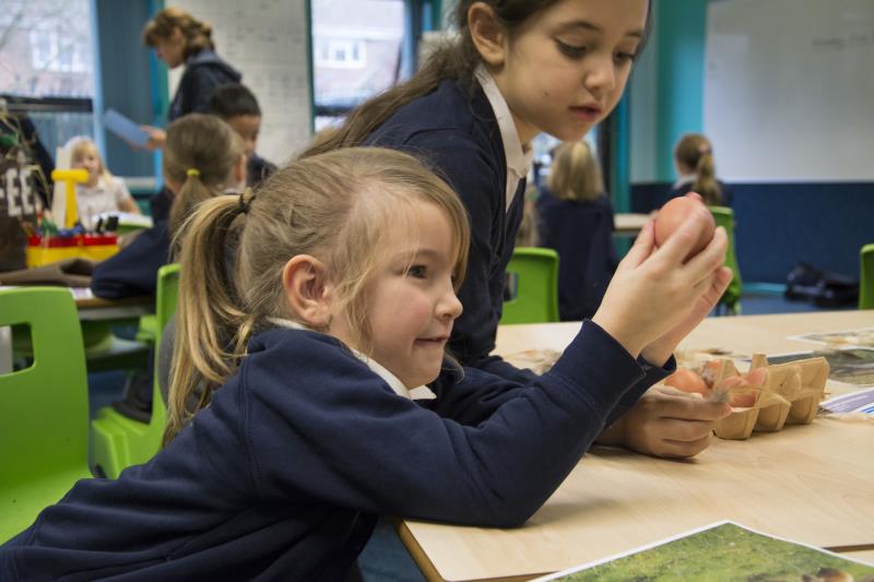 Schoolchildren will learn how core science topics are integral to farming (Photo: NFU Education)