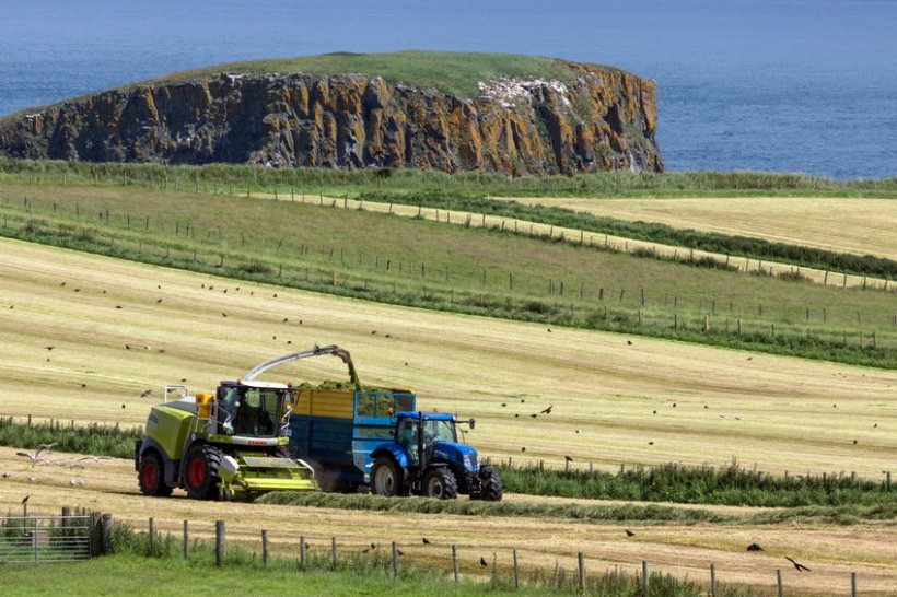 The Ulster Farmers' Union says contingency plans should be in place to protect Northern Irish agriculture