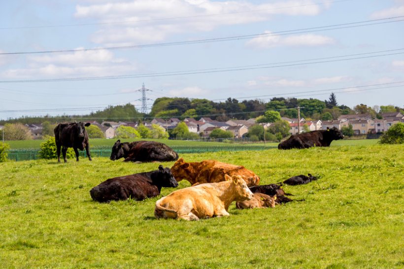 Farmers and landowners in the Buckinghamshire, Oxfordshire, Berkshire, Hampshire and East Sussex area are asked to help in a year-long study