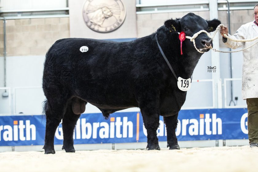 The entire award-winning pedigree Shadwell Aberdeen-Angus herd, based in Thetford, Norfolk, sold for a combined total of £653,730