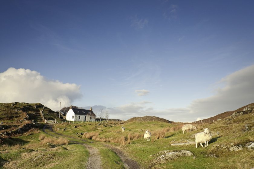 More than 40 percent of farmland was bought by investors and amenity buyers over the past five years, figures show