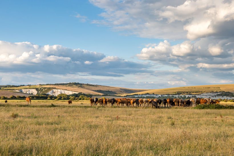 Defra is failing to address the future management of common land, two industry groups have warned today