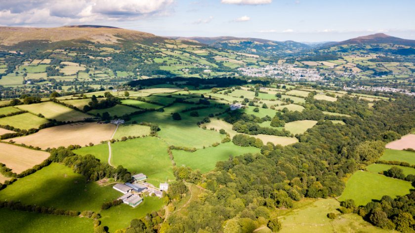 NFU Cymru says Wales' future policy framework should focus on food security and encourage Welsh farmers' ability to produce food