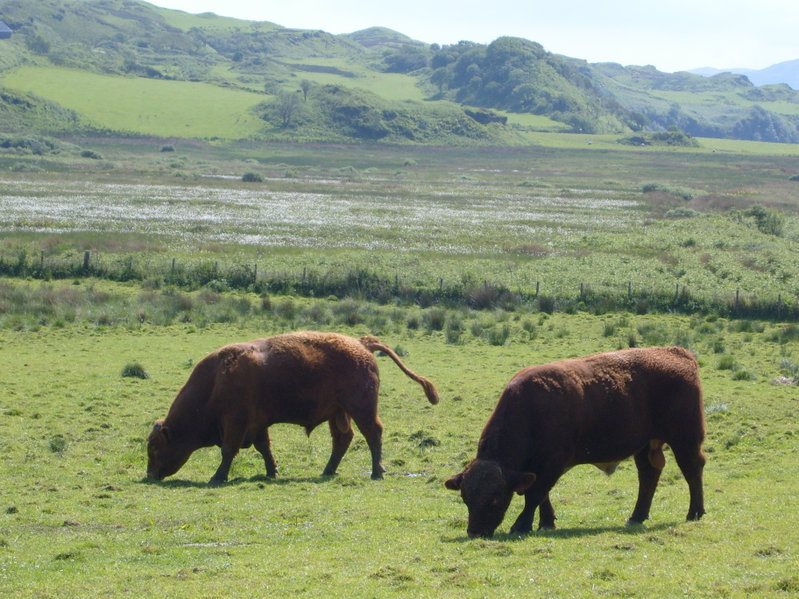 Emissions from the Scottish farming industry have now dropped 14.9 percent since 1990