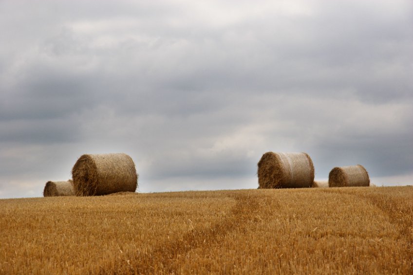 The new report marks a turning point in how the government and industry responds to growing food security pressures in Scotland