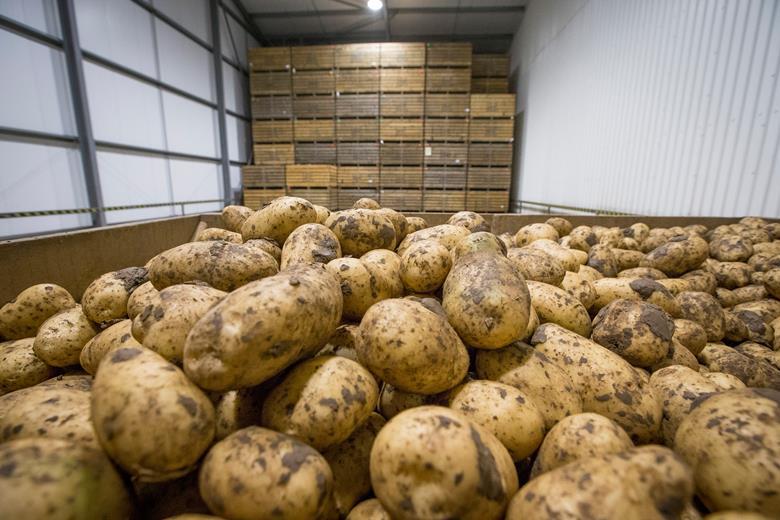 The SPO is currently in the process of being set up by a group of growers, with technical back-up, to support and develop the seed potato sector