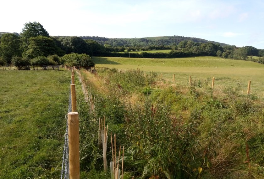 The Farming in Protected Landscapes programme has celebrated a successful end to its first year