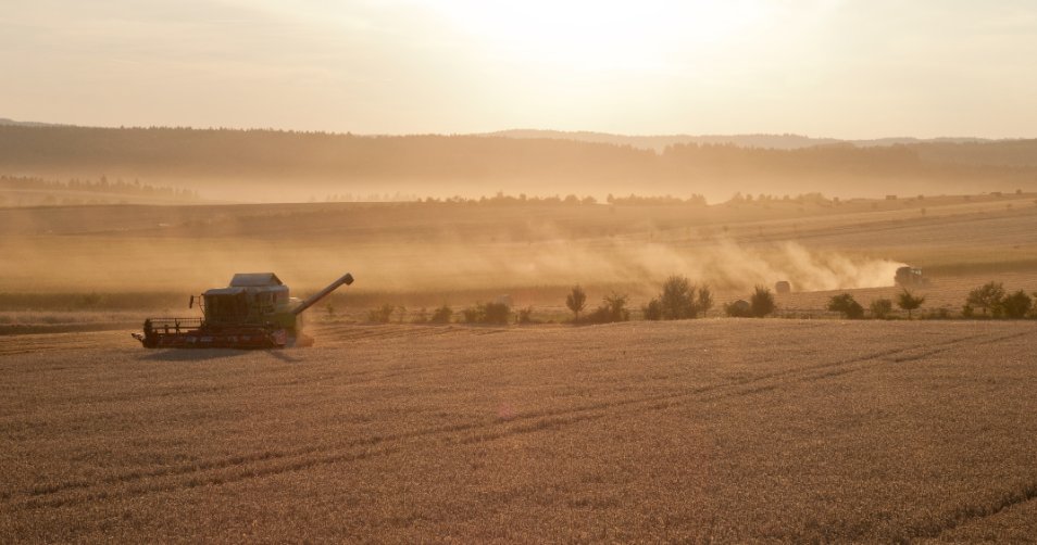 This year's data will be especially important, as the impact of the fertiliser crisis and escalating input costs will be assessed