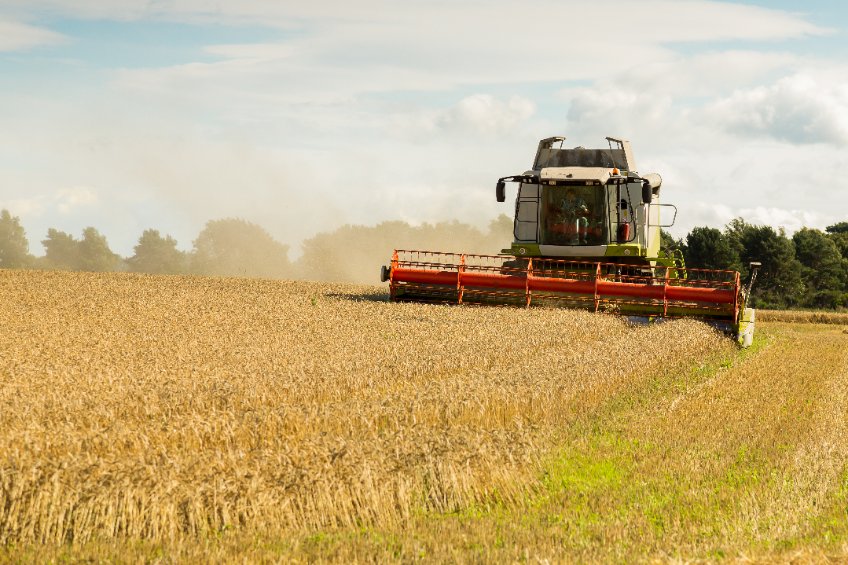 Information is only needed on yields and crop area for barley, wheat, oats, oilseed rape and rye