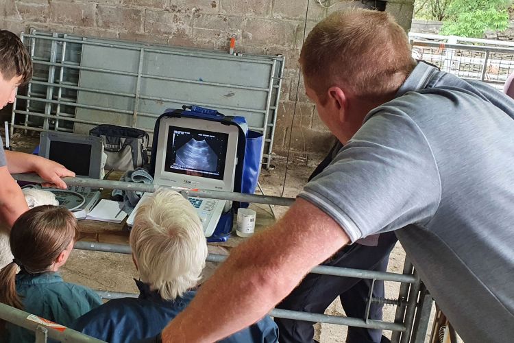 The government funded scheme has given vets the opportunity to upskill and share knowledge of ovine pulmonary adenocarcinoma (OPA)