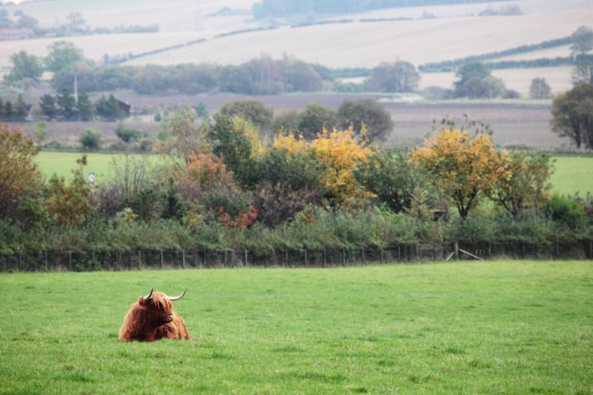 The proposed rural visa pilot aims to recognise the need for bespoke measures to address labour challenges in Scotland's rural areas