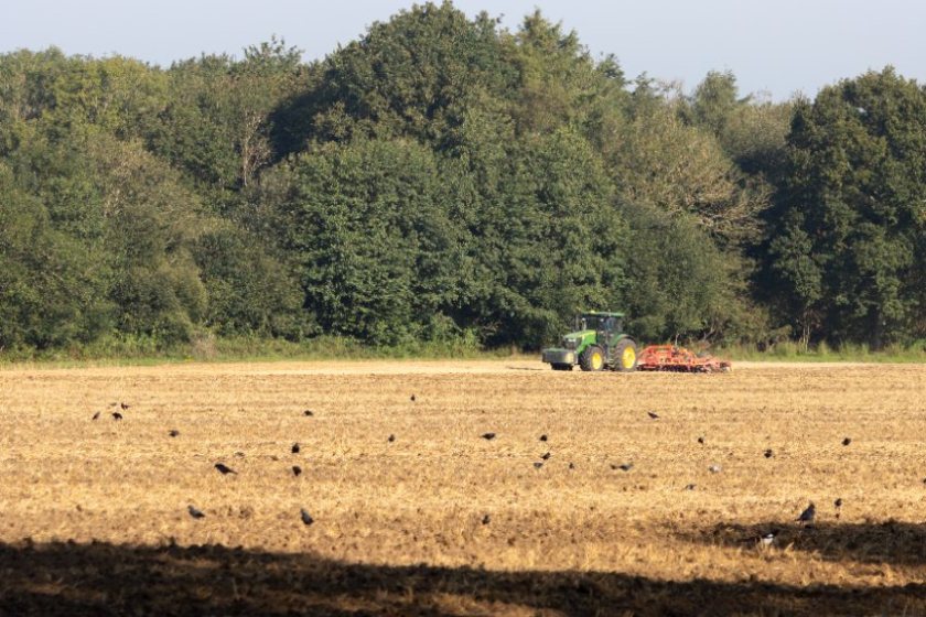 Hundreds of farmers have contacted their MPs criticising the government's plans to row back on post-Brexit environmental schemes