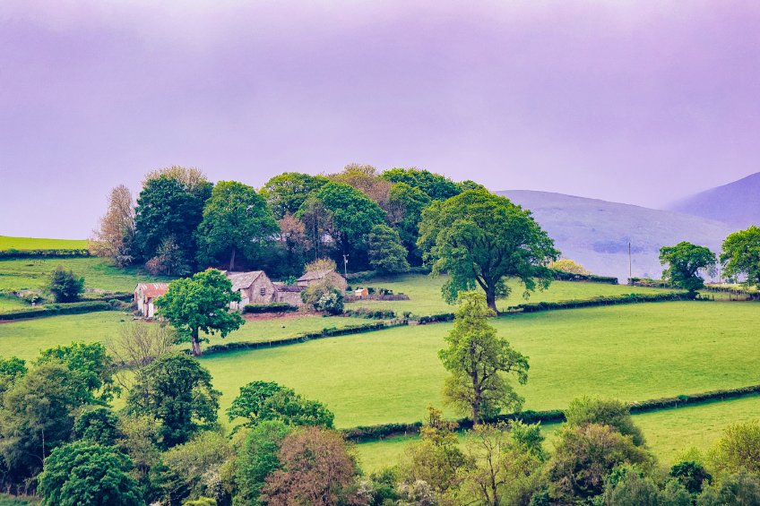 NFU Cymru said it wants to ensure new policy supports all active farmers, including those who do not own the land they farm