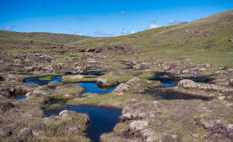 Peatland is the most valuable land resource in Wales for carbon capture, given its potential to store 30% of soil-based carbon