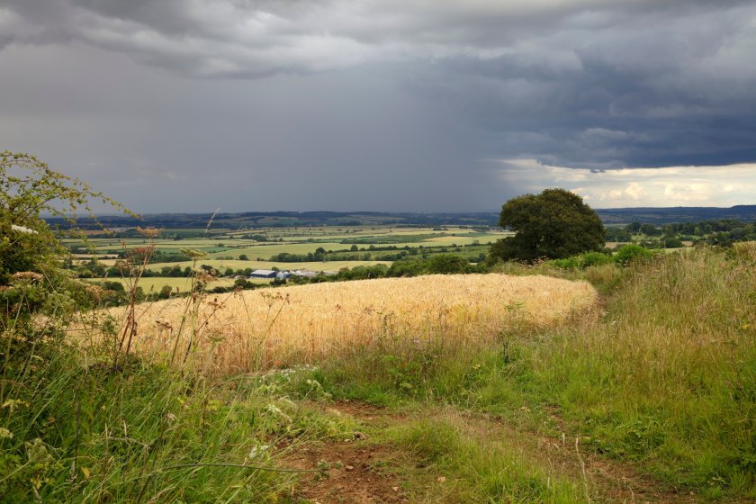 The price of farmland has risen by 12% in the past year with private investors and institutional buyers playing a larger role in the market