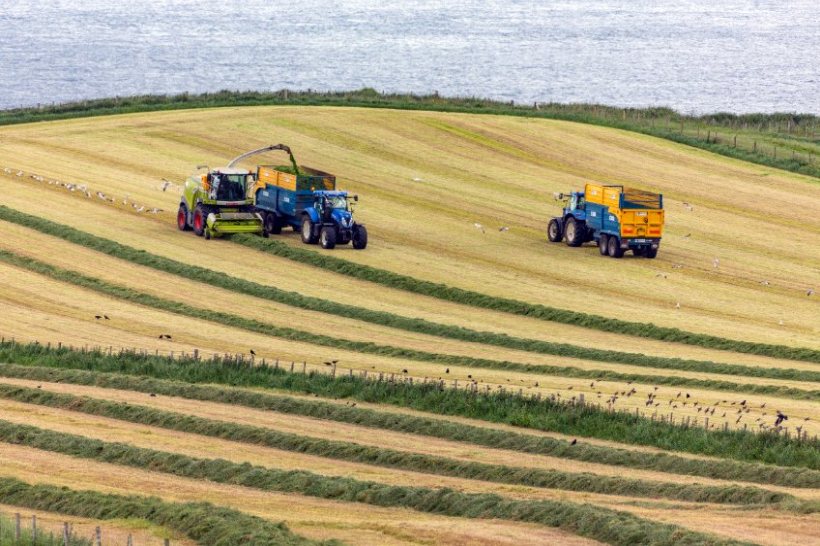 Agricultural businesses must be eligible for the UK government's higher energy relief, the UFU has said