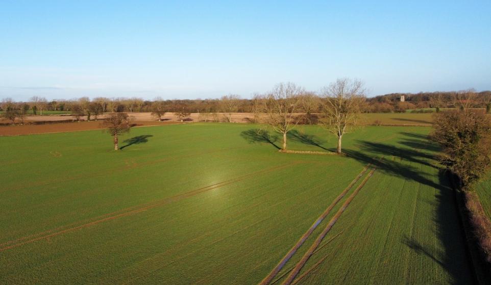 There are no restrictions on agricultural use on both holdings, Norfolk County Council says (Photo: Oak Farm/Norfolk County Council)