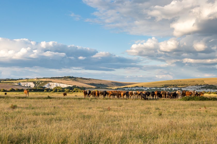 Farming in Protected Landscapes (FiPL) offers funding to farmers and land managers in AONBs, National Parks and the Broads