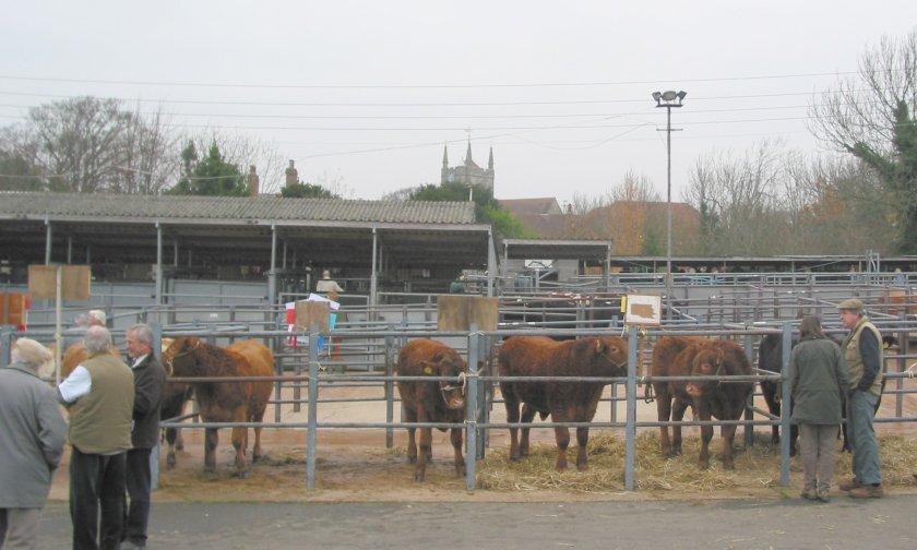 Hailsham is the only remaining livestock market across the whole of East Sussex and West Sussex (Photo: NFU)