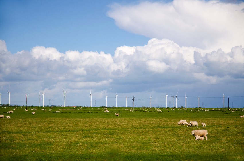 Speakers at the recent Low Carbon Agriculture said new policy was needed for the UK to reach net zero and build energy security