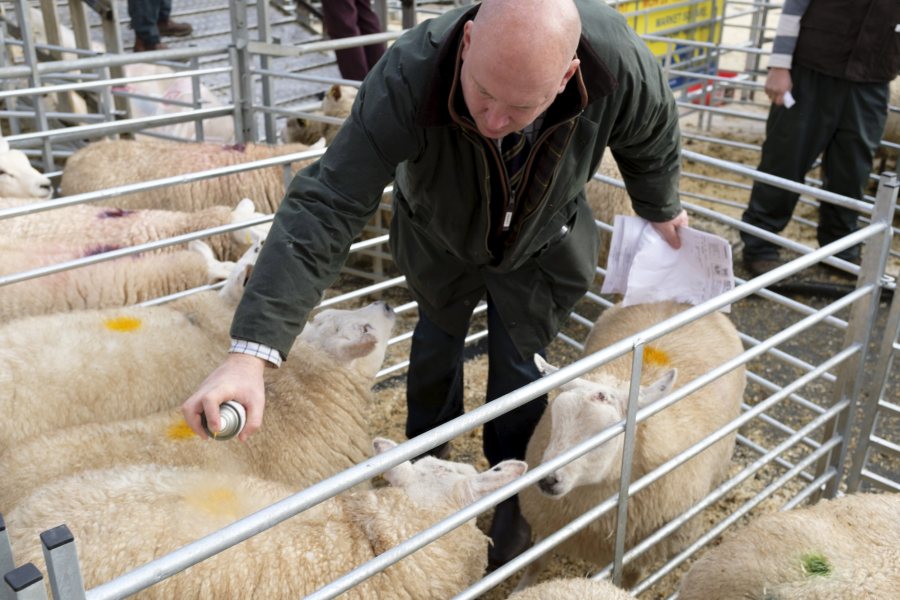 The local council’s mobile clinic will visit the livestock market, one of the busiest in the West Midlands, on the first and third Tuesday in the month