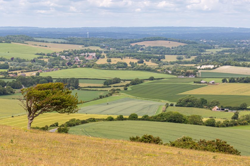 Over the past 12 months, private and institutional investors have played a growing role in the farmland market