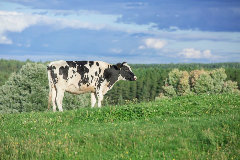 The scholarship was launched to encourage young farmers to travel the world and learn more about agriculture in other countries