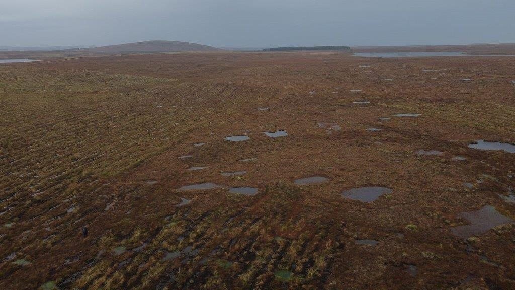 Around 80% of the UK’s peatlands have been significantly affected by the way they are managed.