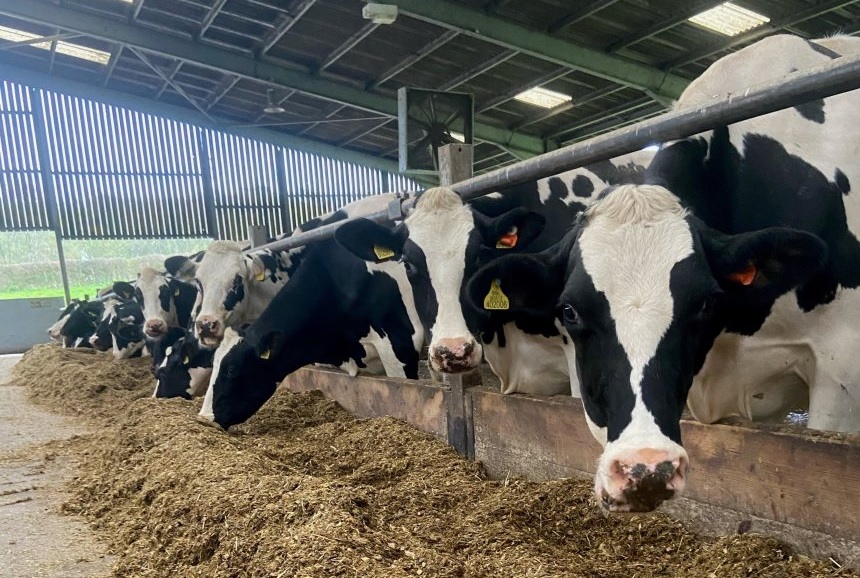 The survey, compiled by KW Feeds, reveals dairy farmers are concerned about balancing environmental goals with profitability