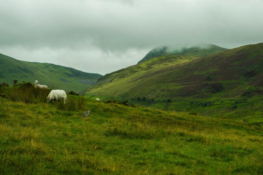 The report suggests that targeted agri-environment support for liming of improved grassland could mitigate the flooding risk