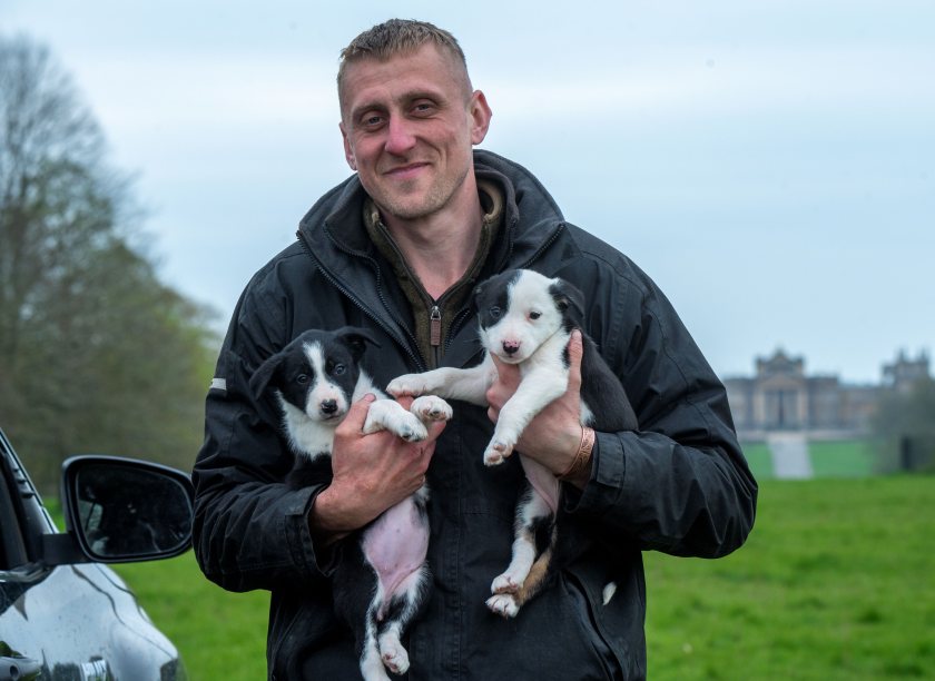 Tom Locke, Farm Manager at the Oxfordshire Blenheim Estate, has his hands full this spring