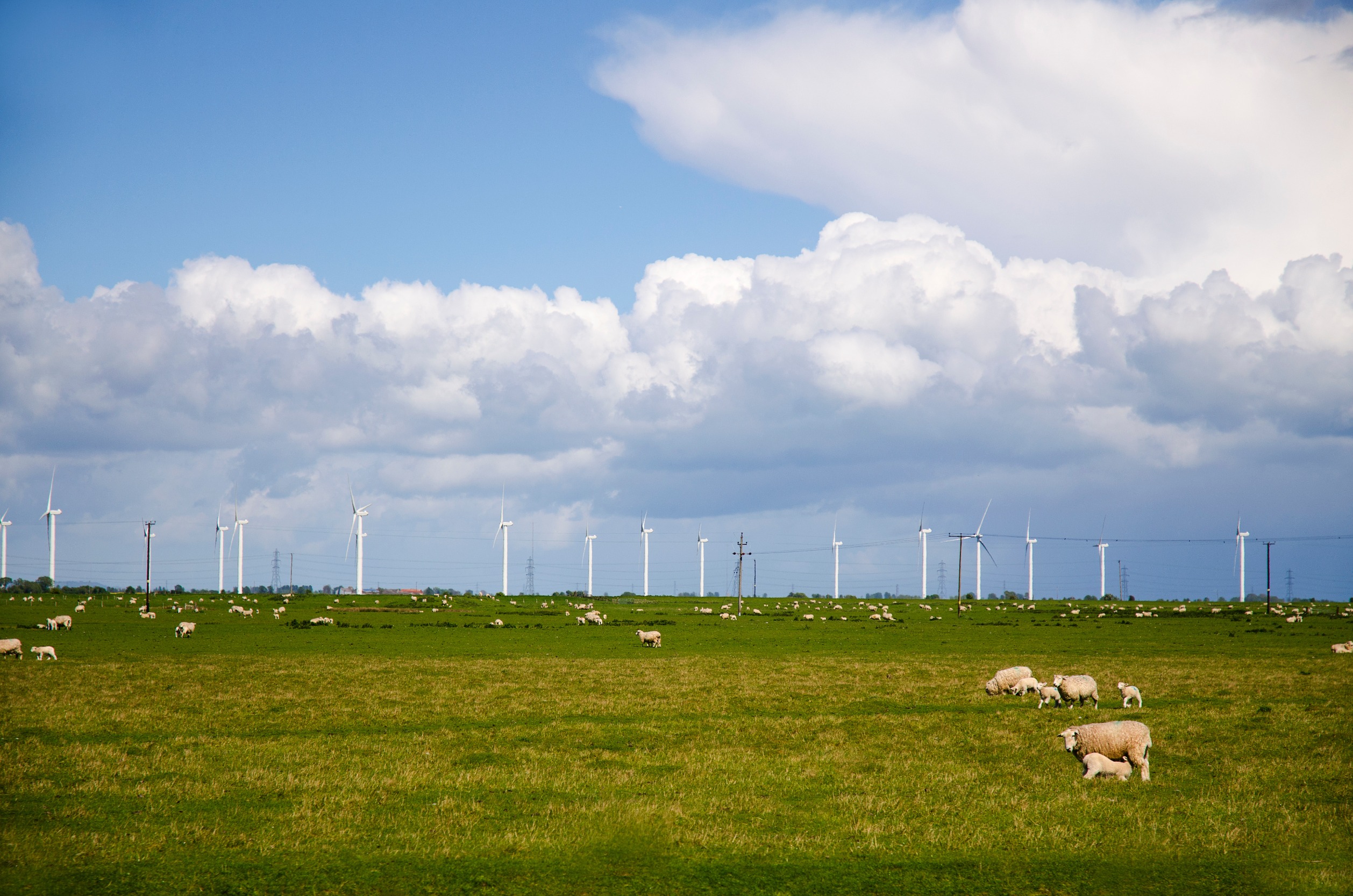 Calls have been made for the Scottish government's Energy Strategy to support farms to become more energy independent