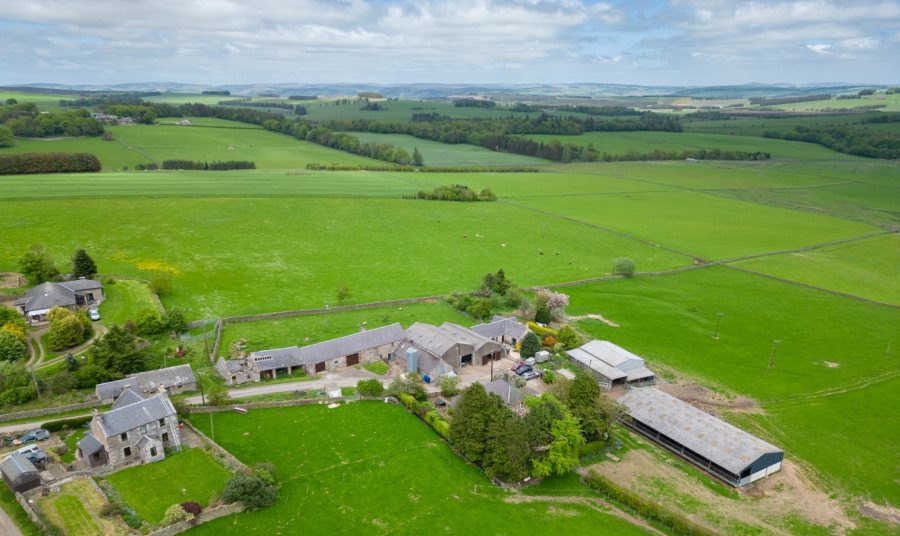 The farm is equipped with a productive block of pasture land (Photo: Galbraith)