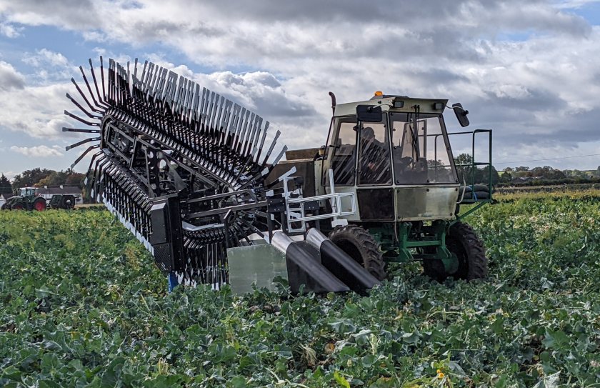 Figures show that in the UK alone, more than 600,000 tonnes of broccoli plant mass is currently wasted