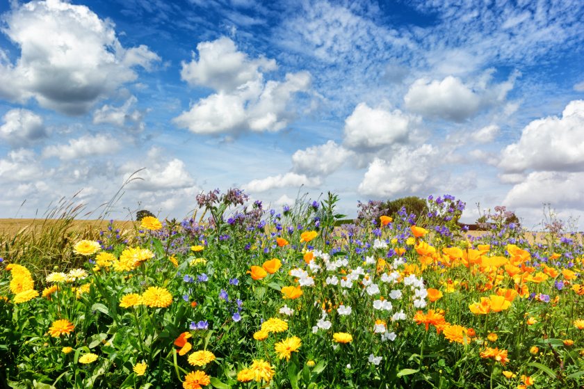 The new round will be the first time the fund focuses specifically on the farming industry