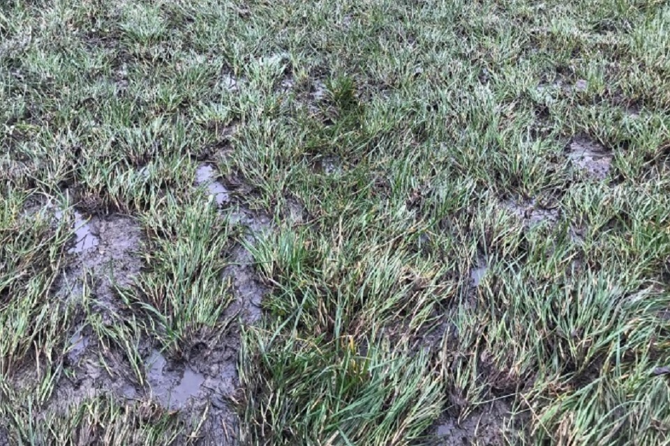 A Co Durham farming business has been fined after land spreading polluted a nearby stream