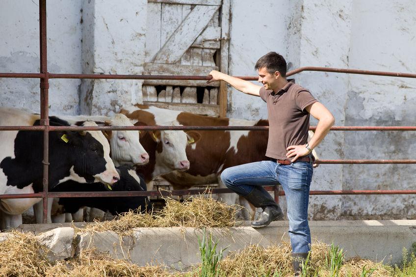 The awards aim to reward and recognise the work of rural young people across England and Wales