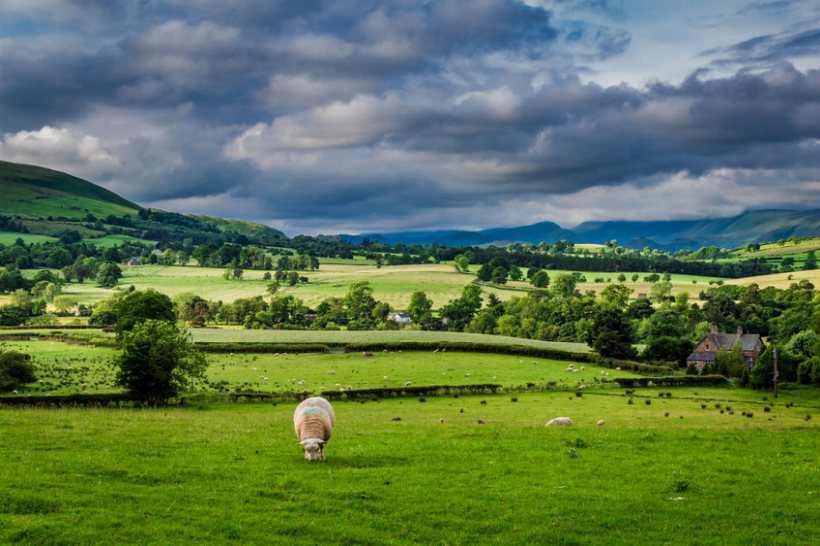 The Farming in Protected Landscapes funding is available to farmers and landowners who are within the Lake District National Park boundary