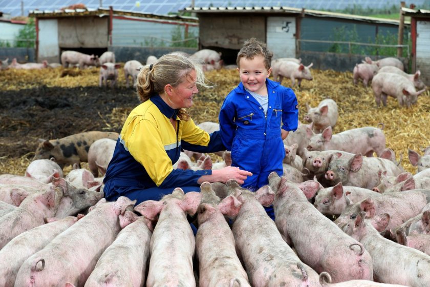 Anna built her own business 14 years ago buying weaned pigs from the family farm