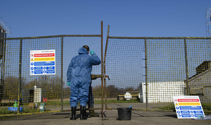 Avian influenza of the H5N1 subtype was confirmed on Sunday evening at a farm near Banff, Aberdeenshire