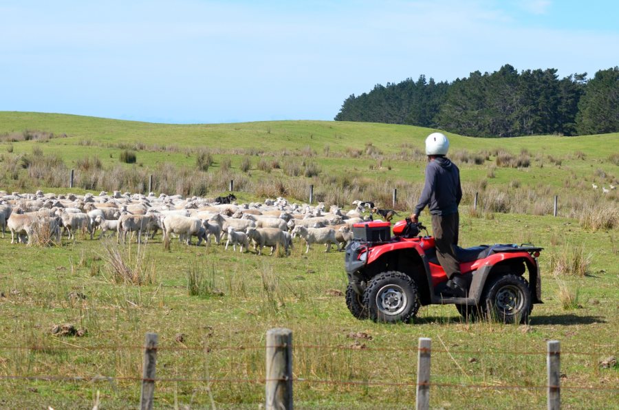 Being struck by a moving vehicle was a major cause of death on farms during 2022-2023, according to HSE figures