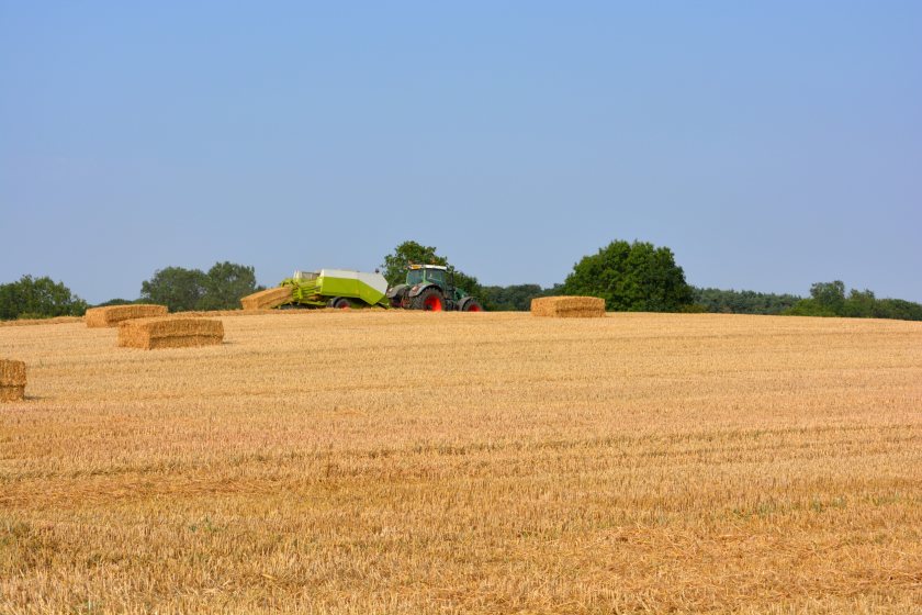 The average value of arable land rose by 2% during the first six months of the year, following a 15% rise in 2022