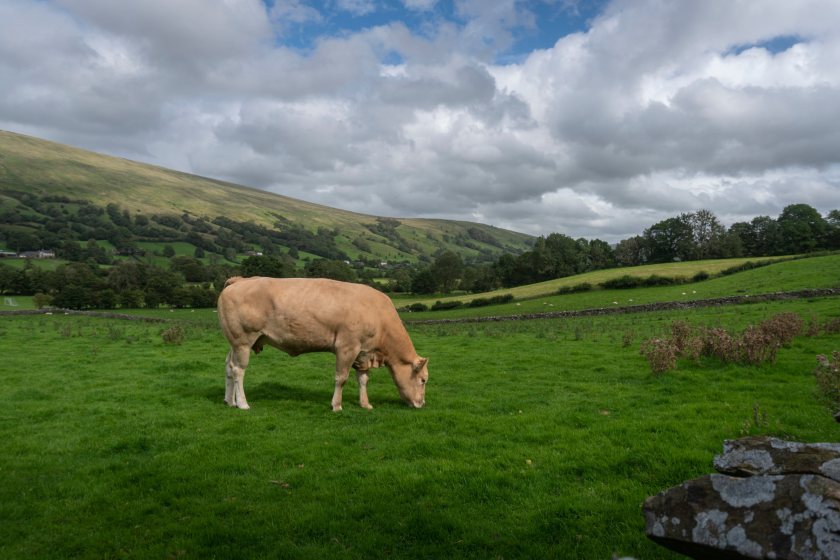 The programme will explore key themes, including dispelling the myths around livestock