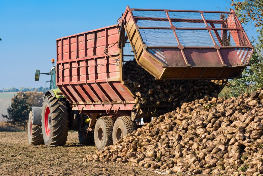 The NFU and British Sugar programme represents an opportunity for growers to learn more about the UK sugar industry