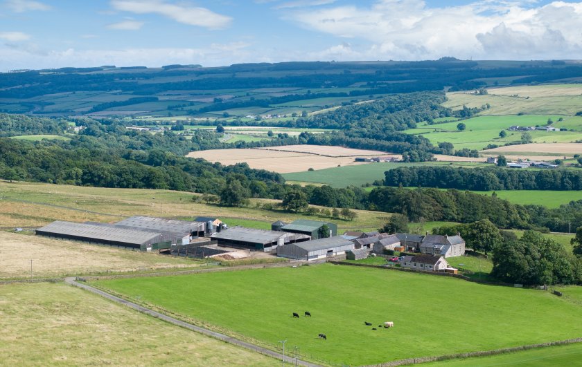 Crow Hall Farm includes the natural capital resource of Muckle Moss, one of only nine National Nature Reserves in the North-East