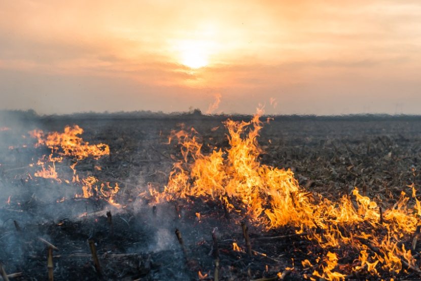 Large-scale farm arson attacks surged from £4.7 million in 2020 to £8.4 million in 2021