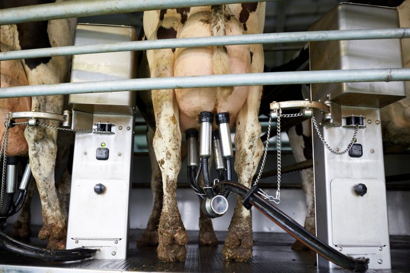 The current cost of milk production is estimated to be between 40 pence per litre and 45ppl