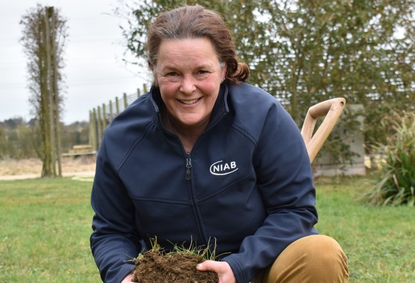 Elizabeth Stockdale, head of agronomy research at NIAB, will discuss the importance of an on-farm toolkit to measure soil health